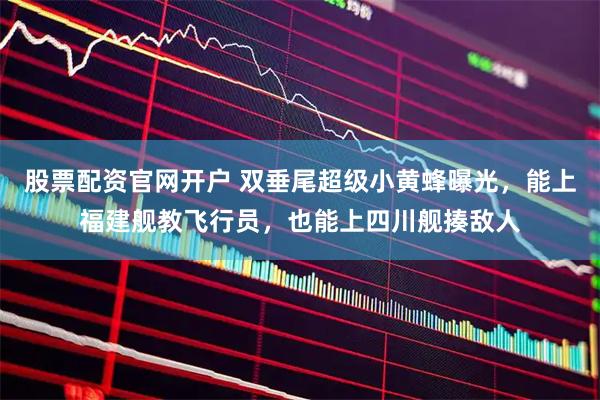 股票配资官网开户 双垂尾超级小黄蜂曝光，能上福建舰教飞行员，也能上四川舰揍敌人